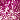 Bright Fuchsia/Light Pink Ombre
